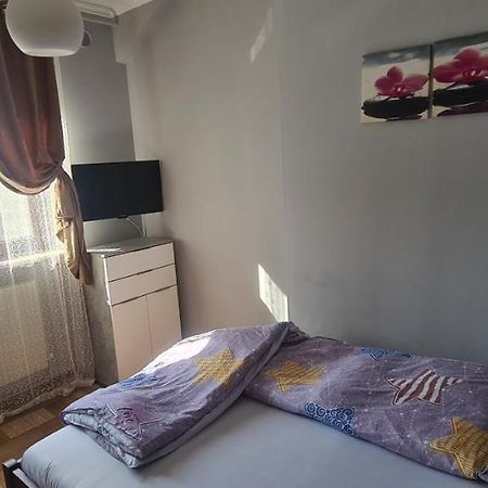 Comfort Home Apartment 1 Petrosani Exterior photo
