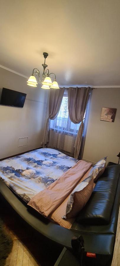 Comfort Home Apartment 1 Petrosani Exterior photo